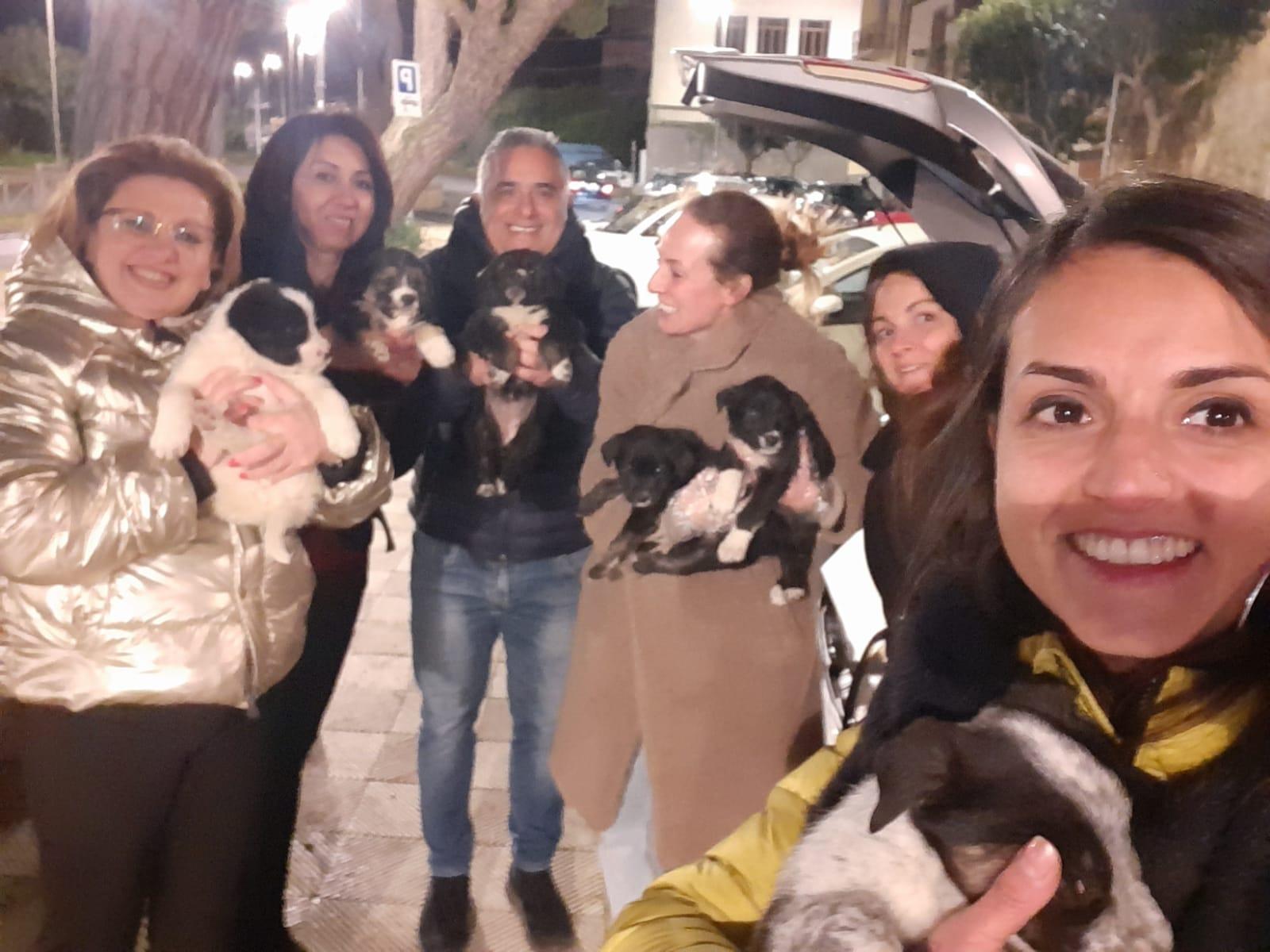 Caltagirone: Salvati sei cuccioli abbandonati