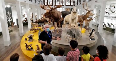 Catania: Un giorno al Museo di Zoologia alla scoperta del “Liotru”