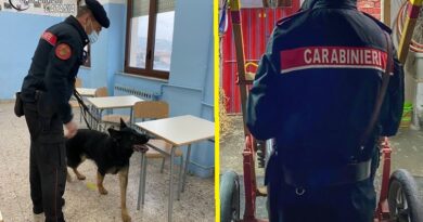 Catania, contrasto all’illegalità: controlli antidroga nelle scuole